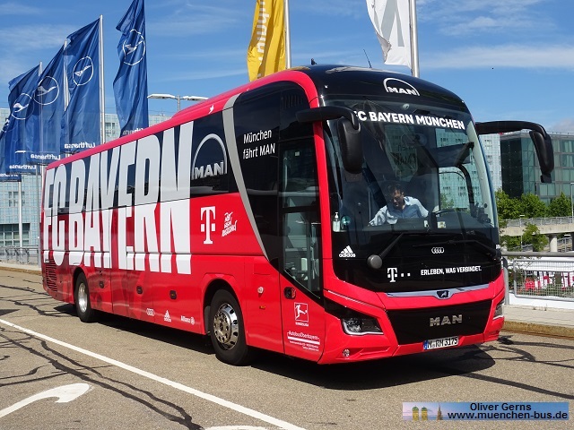 Autobus Oberbayern Wagen 175